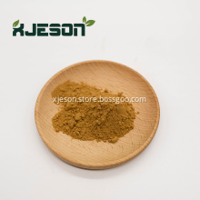 Natural Ginkgo Biloba Leaf Extract